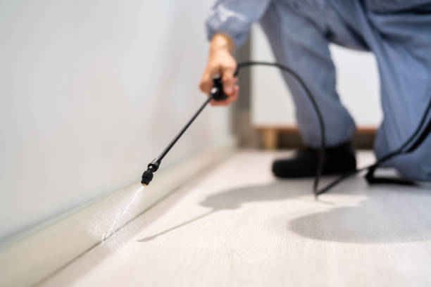 Licensed Pest Control service in Interlaken, CA - Nex Pest Control