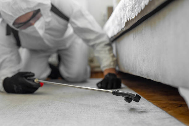 Professional Pest Control technician working in Interlaken, CA