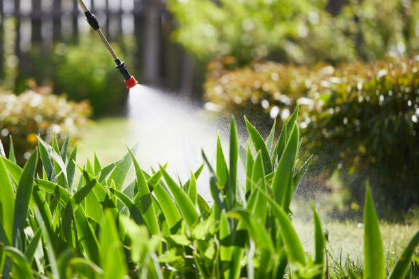 24/7 Emergency Pest Control experts in Interlaken, CA